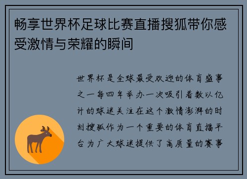 畅享世界杯足球比赛直播搜狐带你感受激情与荣耀的瞬间